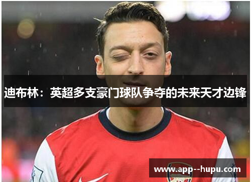 迪布林:英超多支豪门球队争夺的未来天才边锋 迪布林:英超多支豪门球队争夺的未来天才边锋