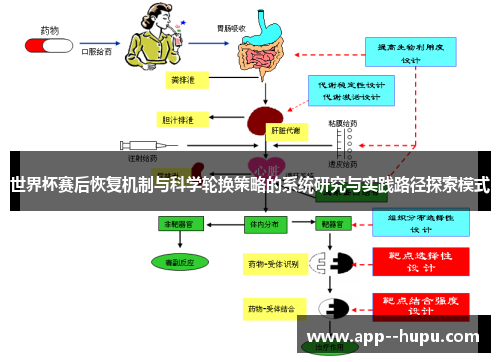 世界杯赛后恢复机制与科学轮换策略的系统研究与实践路径探索模式